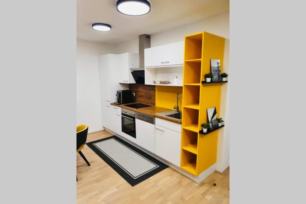 Leon Apartment Neu! Gemuetlichkeit An Erster Stelle Linz Exterior photo